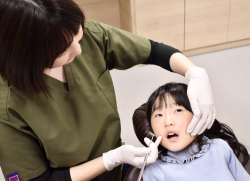 ���É��s���a��@��������