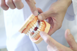 ���É��s���a��@�X�|�[�c�}�E�X�K�[�h